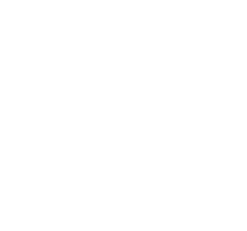 Diseñadora web y especialista seo Gina Garofalo